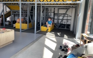 Tygryski (12)